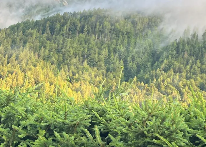 Haus Im Hochtal דירה *